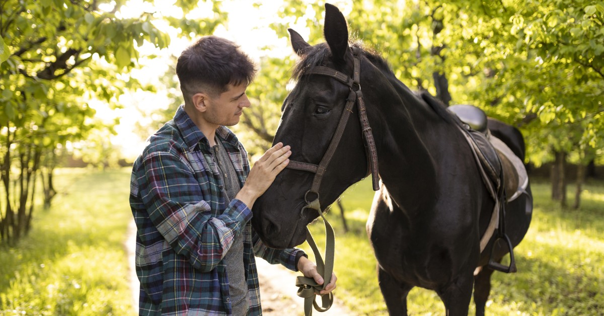 Essential Horse Communication Tips